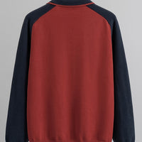 Men's Raglan Sleeve Sweater - Color-Blocked Polo Collar