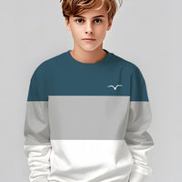 New Color-Blocked Design Print Fashionable Casual Round-Neck Sweatshirt